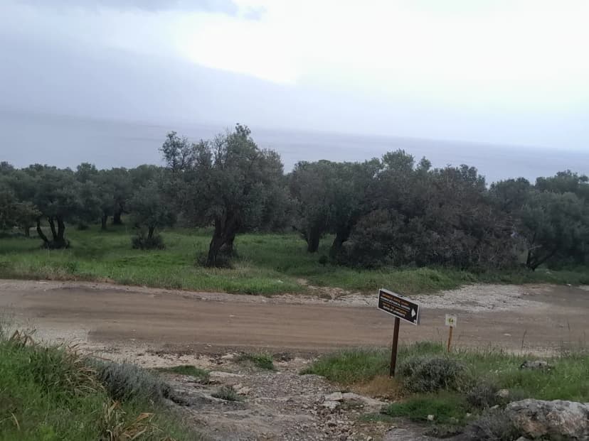 كلمة المحرر: الضجيج... حين تُخمد الضوضاء صوت الإنسان الداخلي